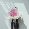 Peonies 10-Stem Bouquet